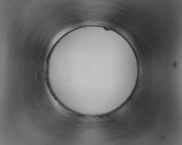 X0000115831050200912241952