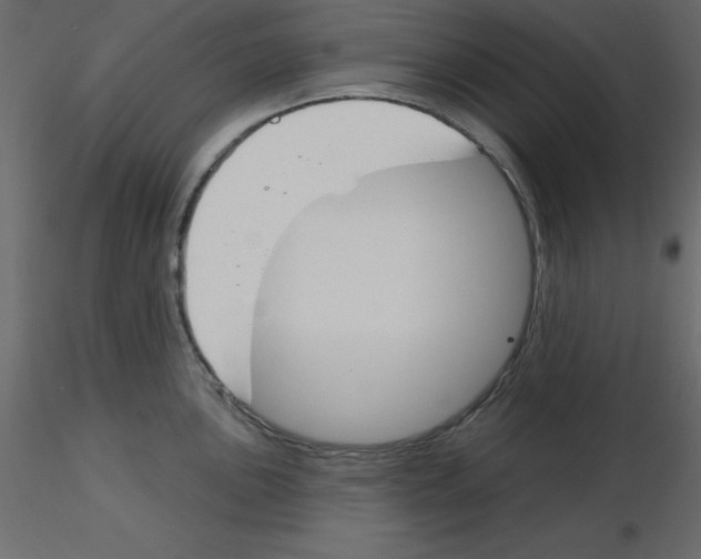 X0000115831051200912241952