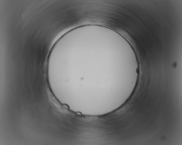 X0000115831052200912241952