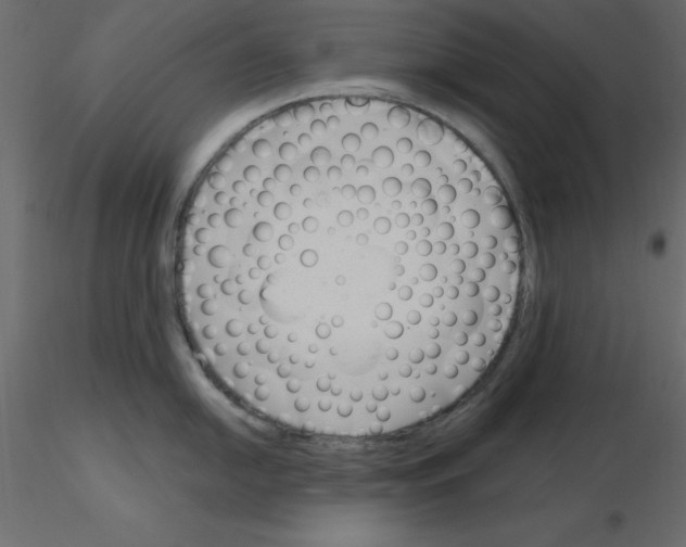 X0000115831054200912241952