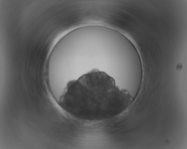 X0000115831056200912241952