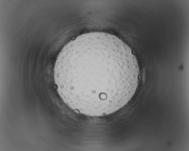 X0000115831059200912241951