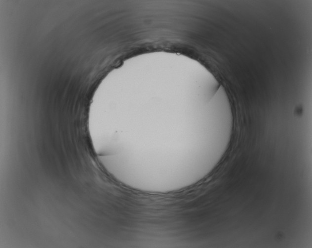 X0000115831060200912241951