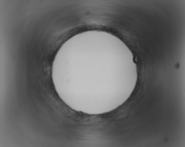 X0000115831061200912241951