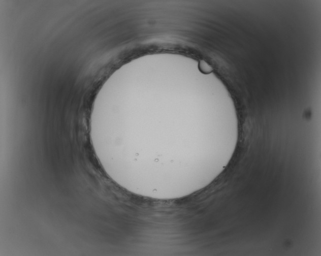 X0000115831062200912241951