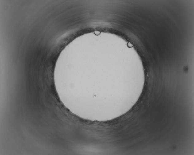 X0000115831063200912241951