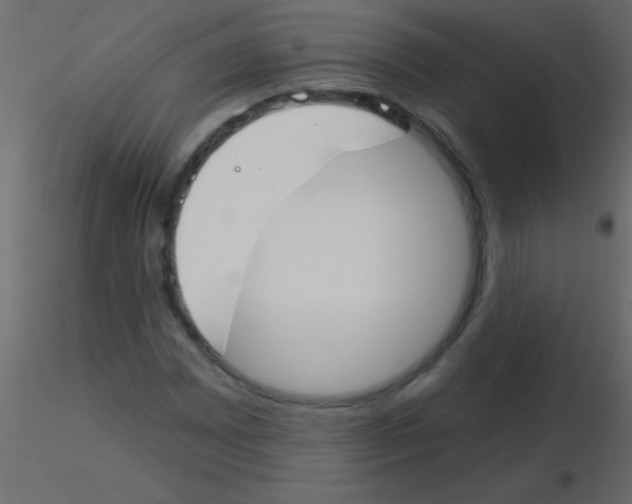 X0000115831065200912241951