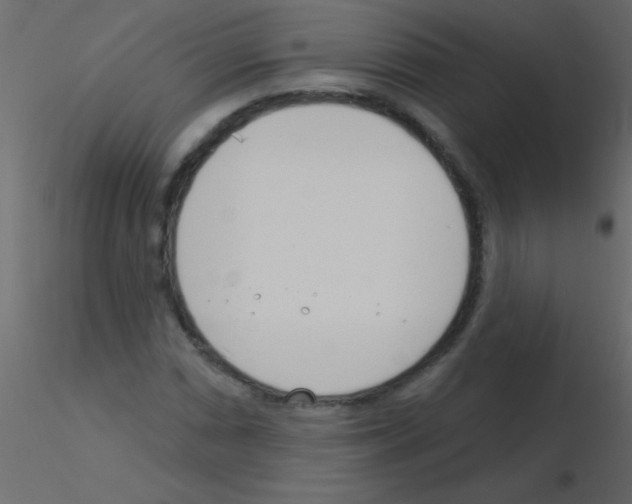 X0000115831066200912241951