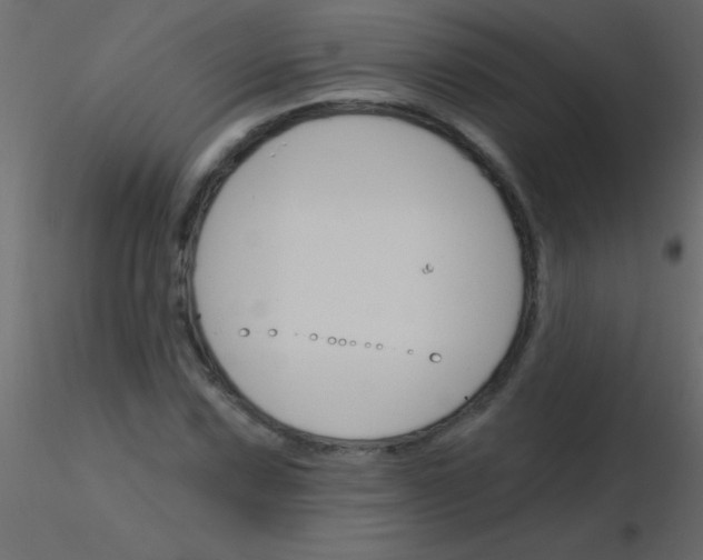 X0000115831067200912241951