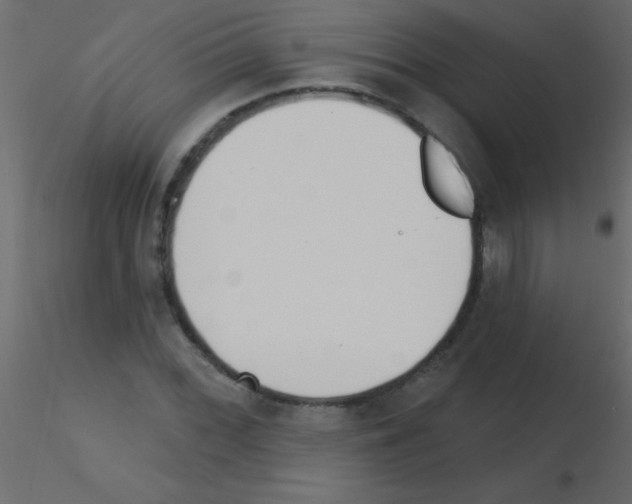 X0000115831068200912241951