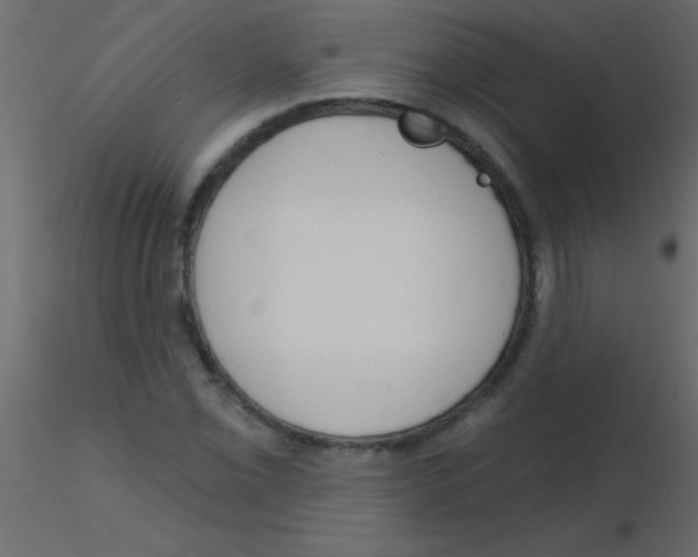 X0000115831069200912241951