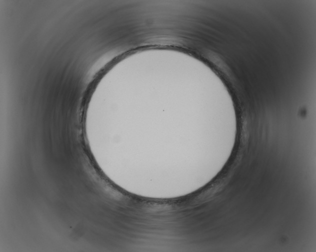 X0000115831071200912241951