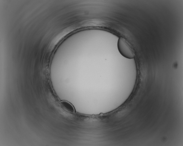 X0000115831073200912241951