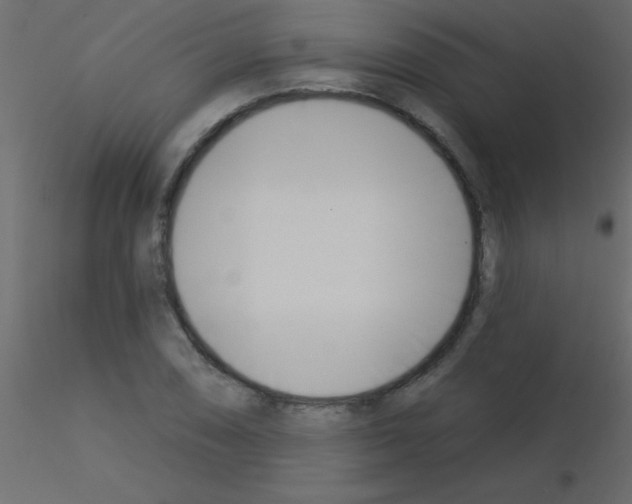 X0000115831074200912241951