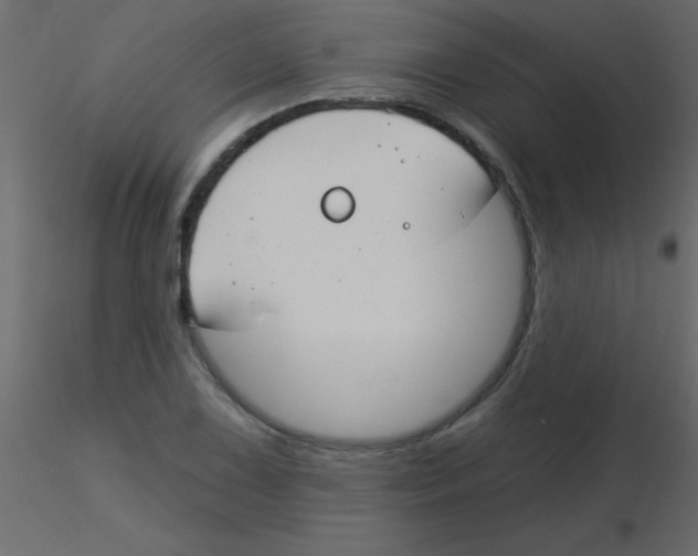 X0000115831075200912241951