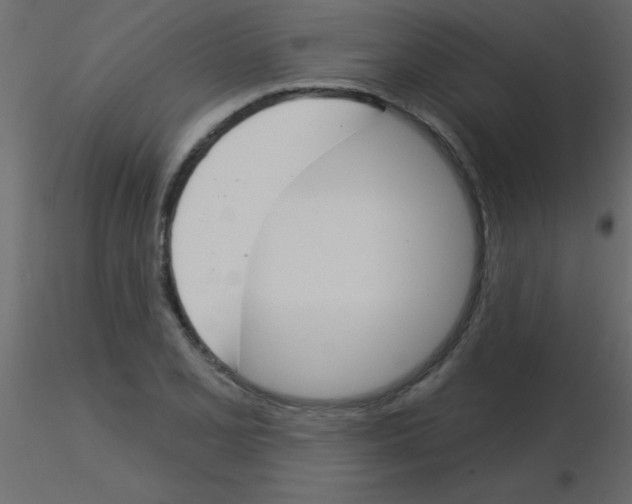 X0000115831077200912241951