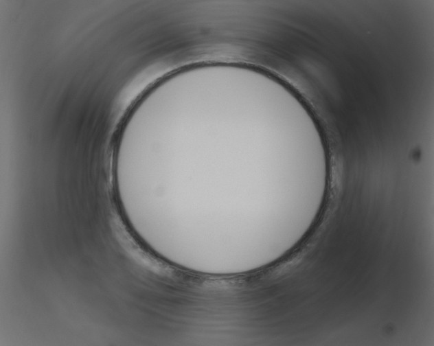 X0000115831078200912241951