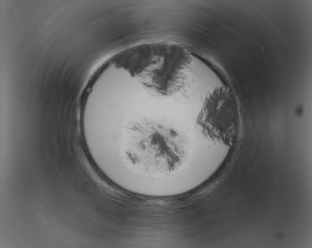 X0000115831079200912241951