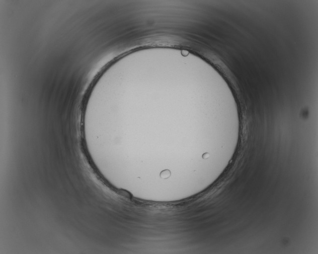 X0000115831083200912241951