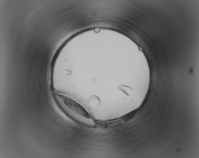 X0000115831084200912241951