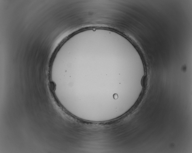 X0000115831085200912241951