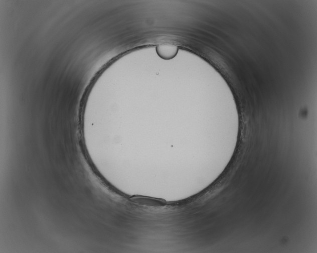 X0000115831087200912241951