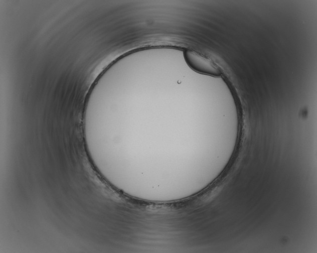 X0000115831089200912241951