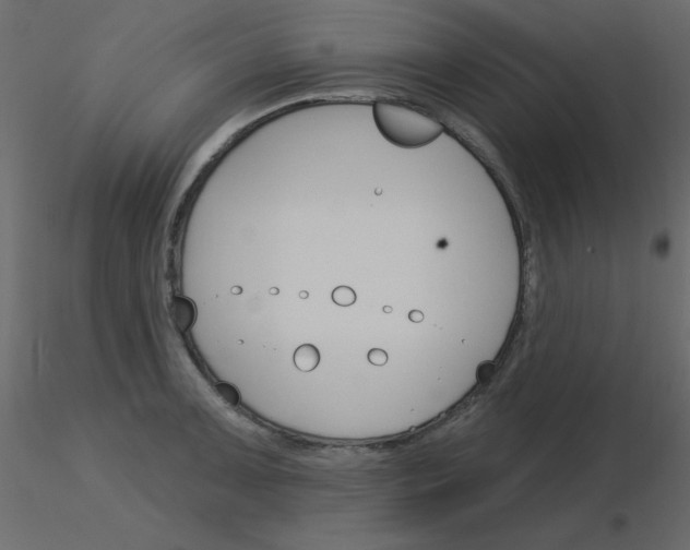 X0000115831091200912241951