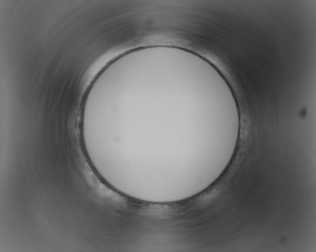 X0000115831094200912241951