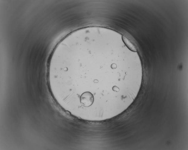 X0000115831096200912241951