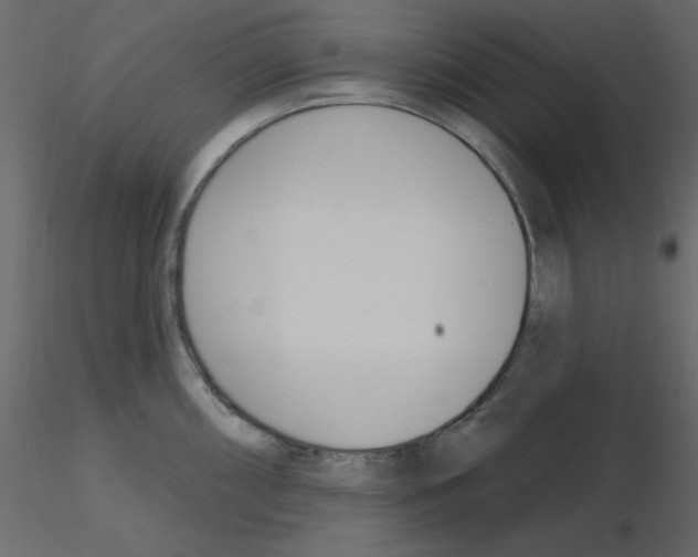 X0000115831098200912241951