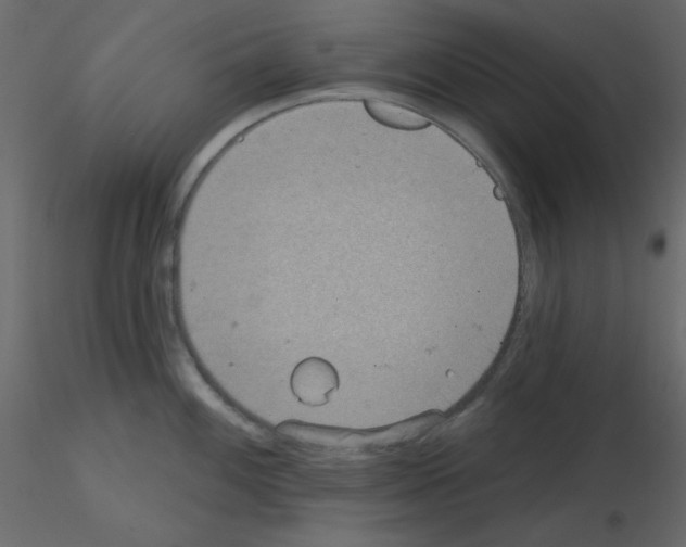 X0000115831100200912241951