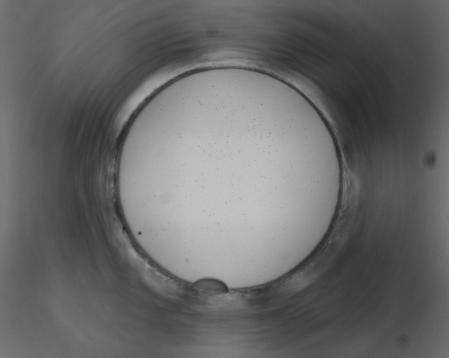 X0000115831101200912241951