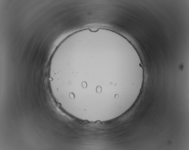 X0000115831102200912241951