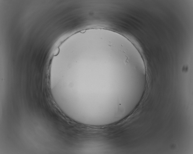 X0000115831104200912241950