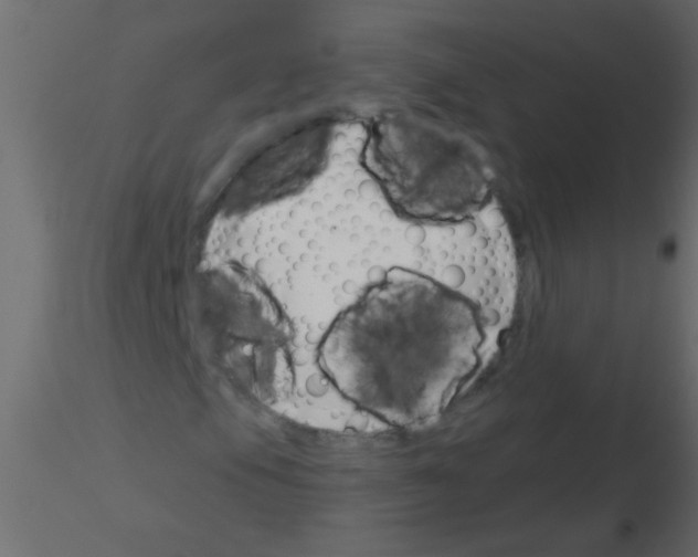 X0000115831105200912241950