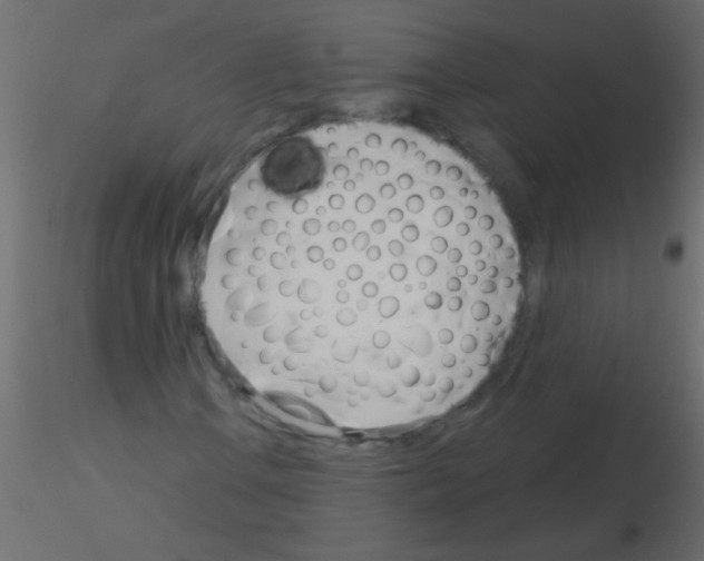 X0000115831106200912241950