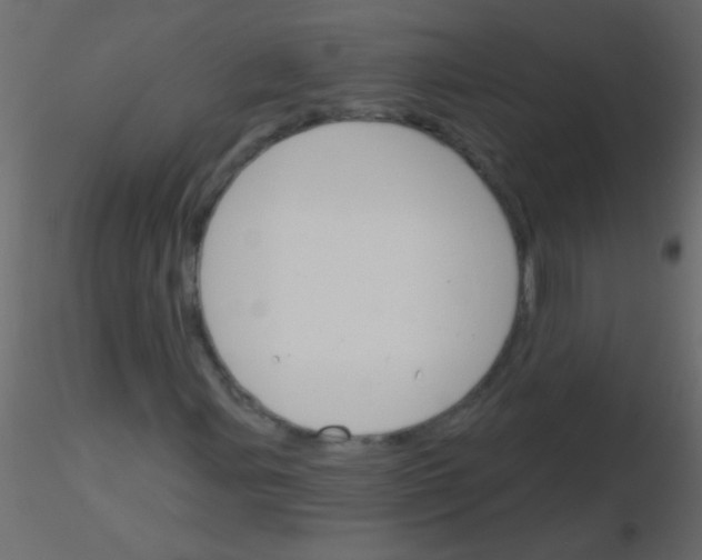 X0000115831107200912241950