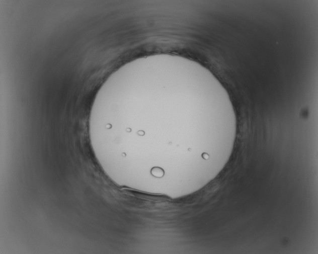 X0000115831109200912241950