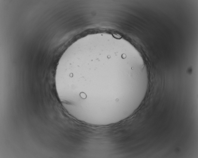 X0000115831110200912241950