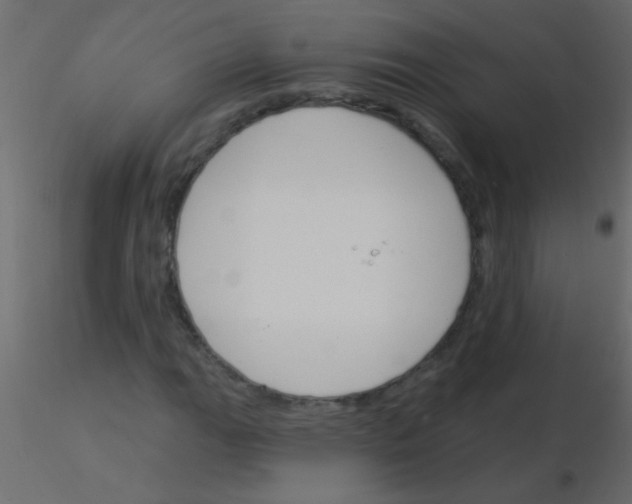 X0000115831111200912241950