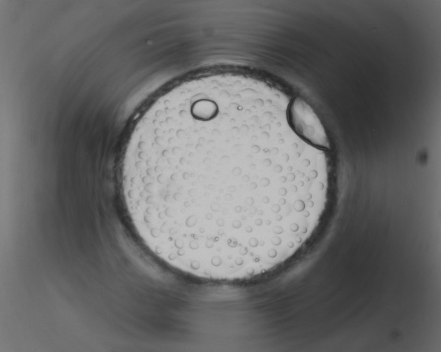 X0000115831113200912241950