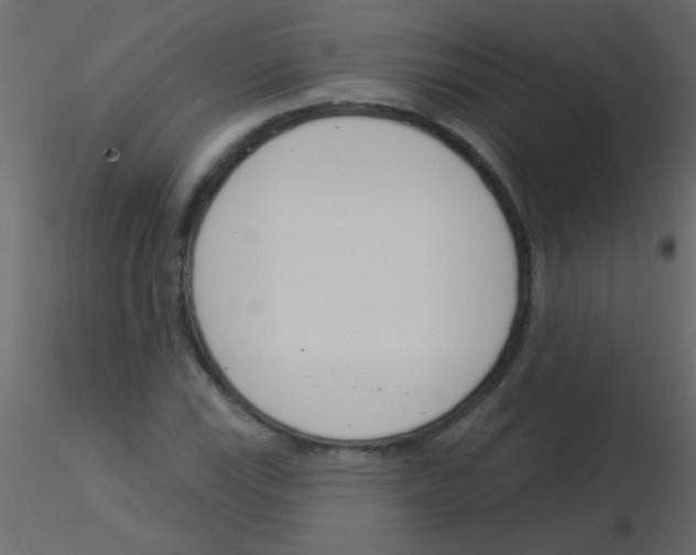 X0000115831115200912241950