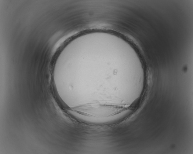 X0000115831117200912241950