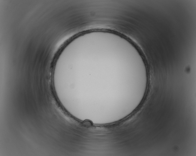 X0000115831119200912241950