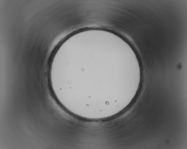 X0000115831122200912241950