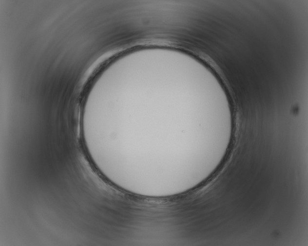 X0000115831123200912241950