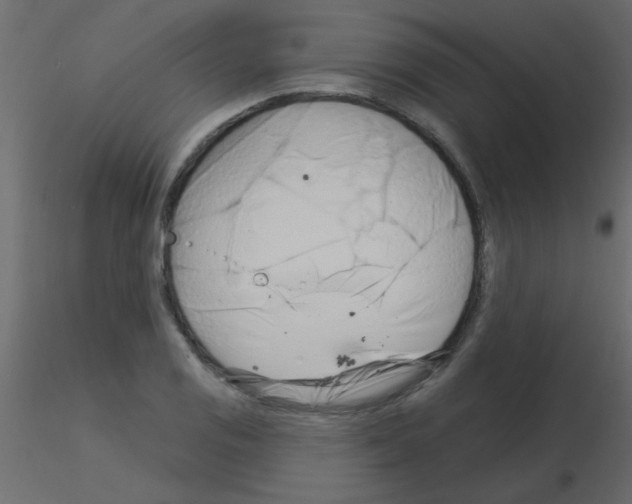 X0000115831125200912241950