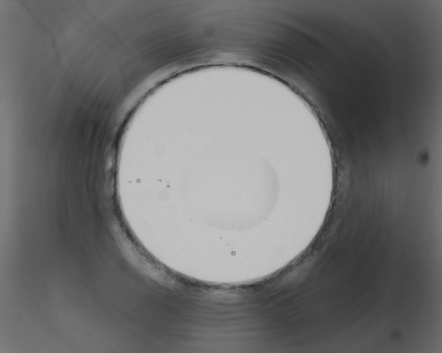 X0000115831126200912241950