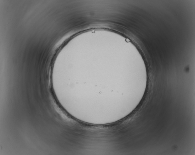 X0000115831127200912241950